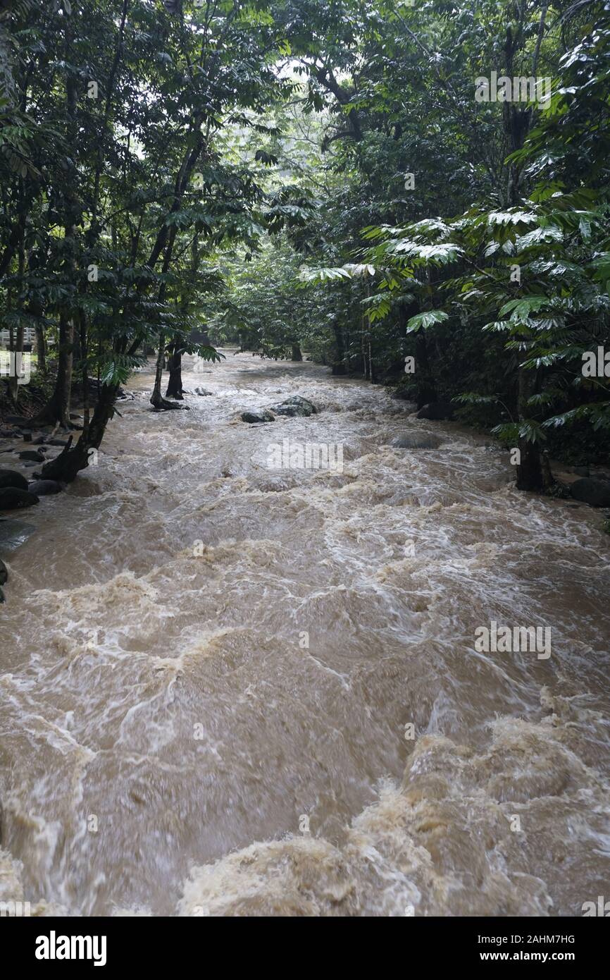 rushing water stream in Malaysia Stock Photo