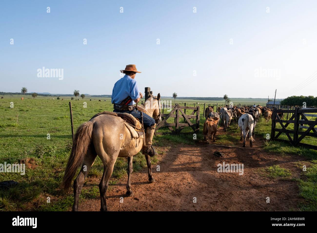 Cowboys working on a ranch in Santiago, Paraguay Stock Photo