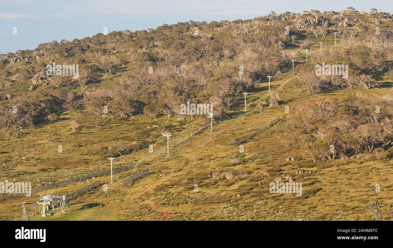 The Perisher Valley ski lift in summer. The hillside has many,  dying and dead trees, due to dieback caused  by beetles, drought, and heat stress Stock Photo