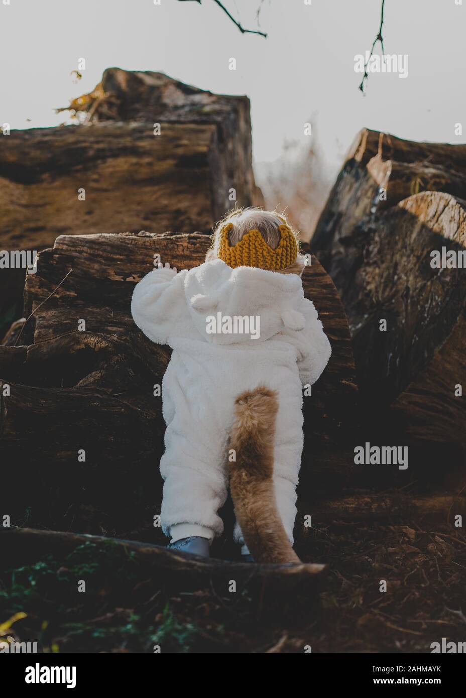 Little boy dressed as Max from Where The Wild Things Are in the woods Stock Photo