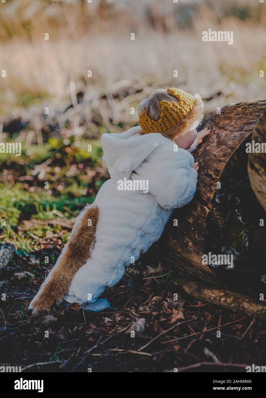 Little boy dressed as Max from Where The Wild Things Are in the woods Stock Photo
