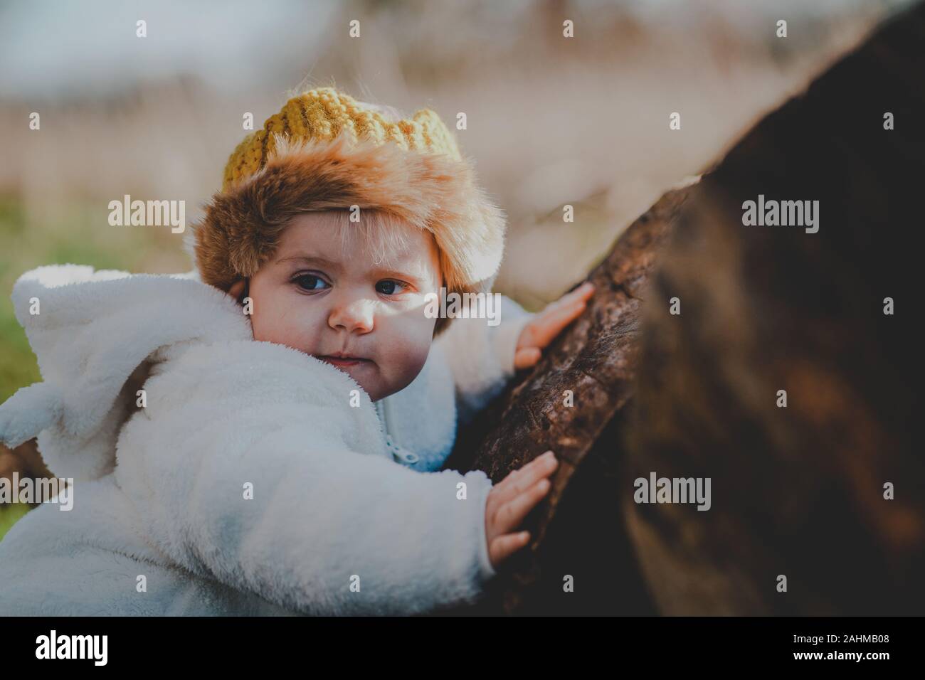 Little boy dressed as Max from Where The Wild Things Are in the woods Stock Photo