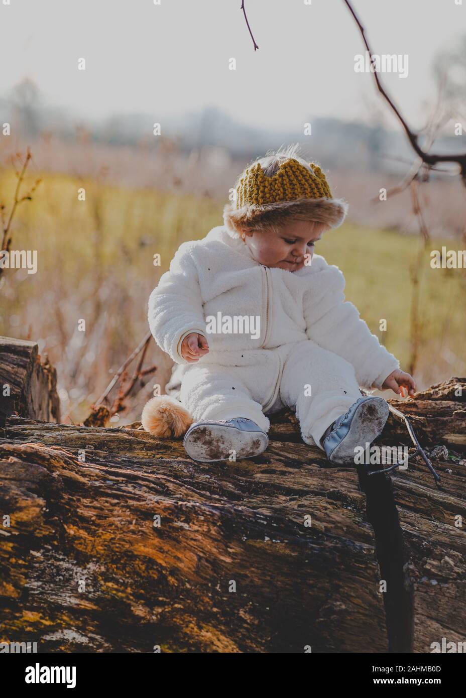 Little boy dressed as Max from Where The Wild Things Are in the woods Stock Photo