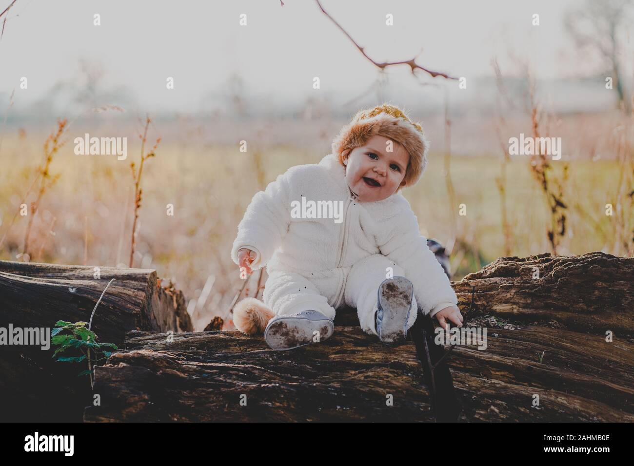 Little boy dressed as Max from Where The Wild Things Are in the woods Stock Photo