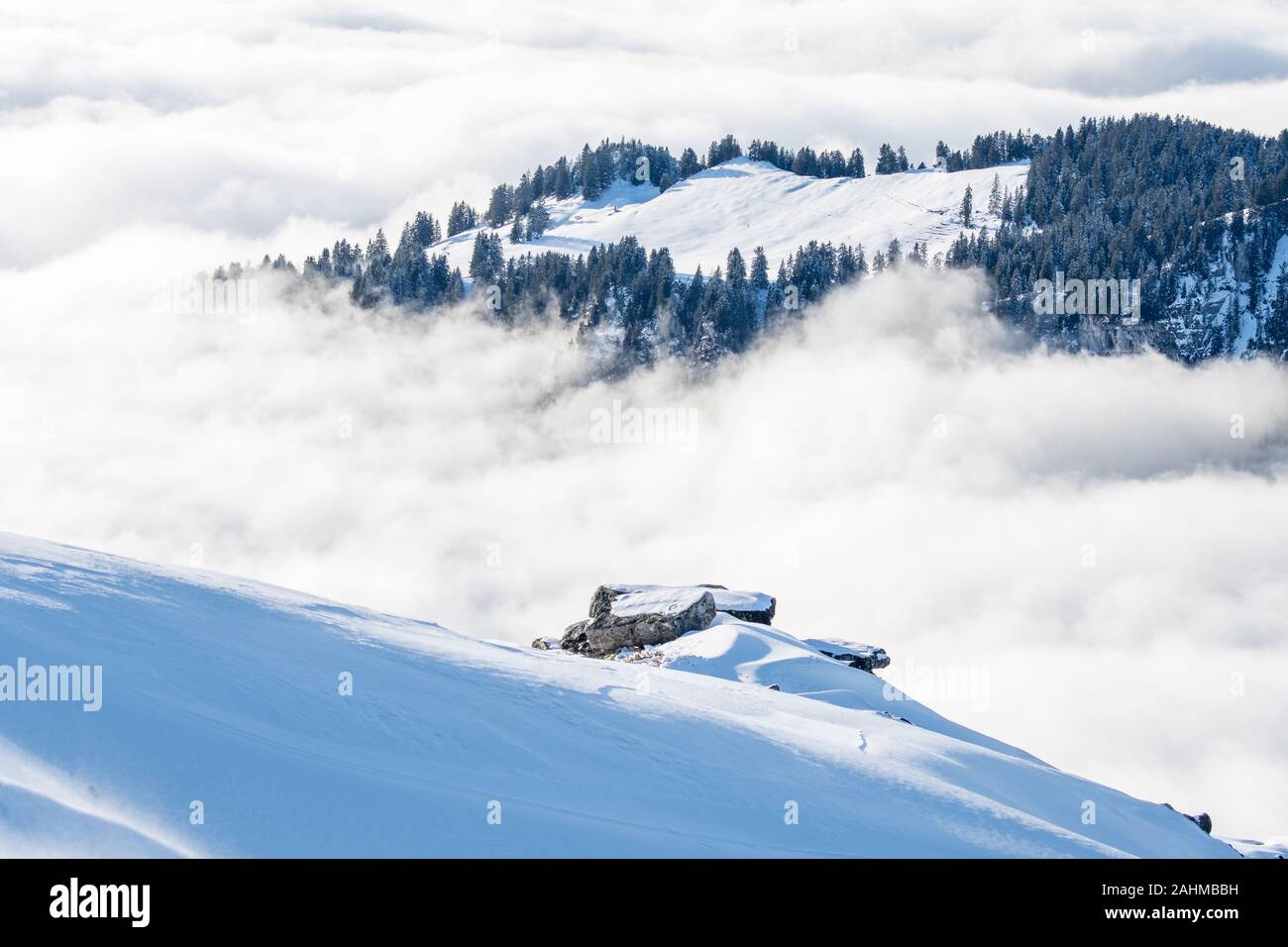island of winter forest in a sea of fog Stock Photo