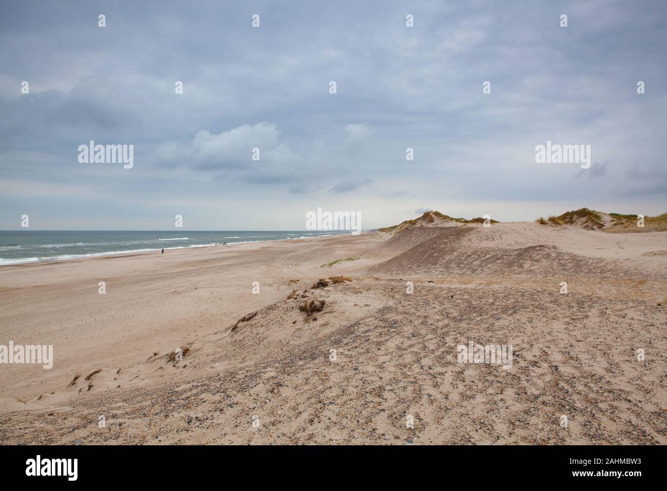 Holmsland Dunes next to Hvide Sande in Denmark has 40 km sandy beaches. Holmsland Dunes is the epitome of beaches, dunes, sun, wind and especially cle Stock Photo