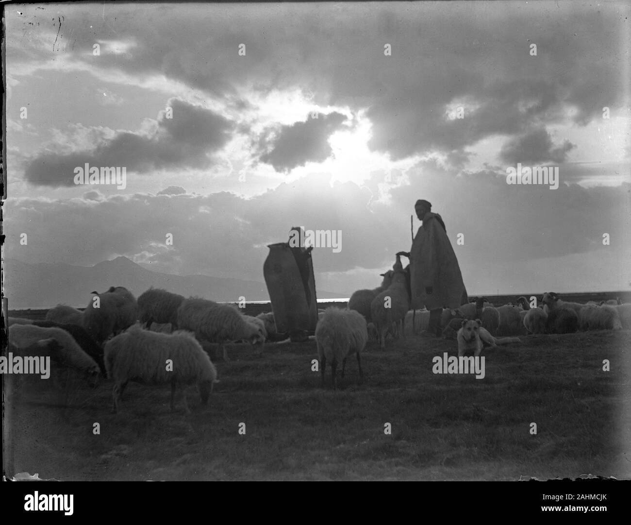 Two shepherds with their grazing sheep and sheepdog in Ottoman Turkey near mediteranian sea bay. Mountains in the background. Atmospheric picture taken in backlight. Photograph dated around 1910-1920. Copy from a dry glass plate, originating from the Herry W. Schaefer collection. Stock Photo