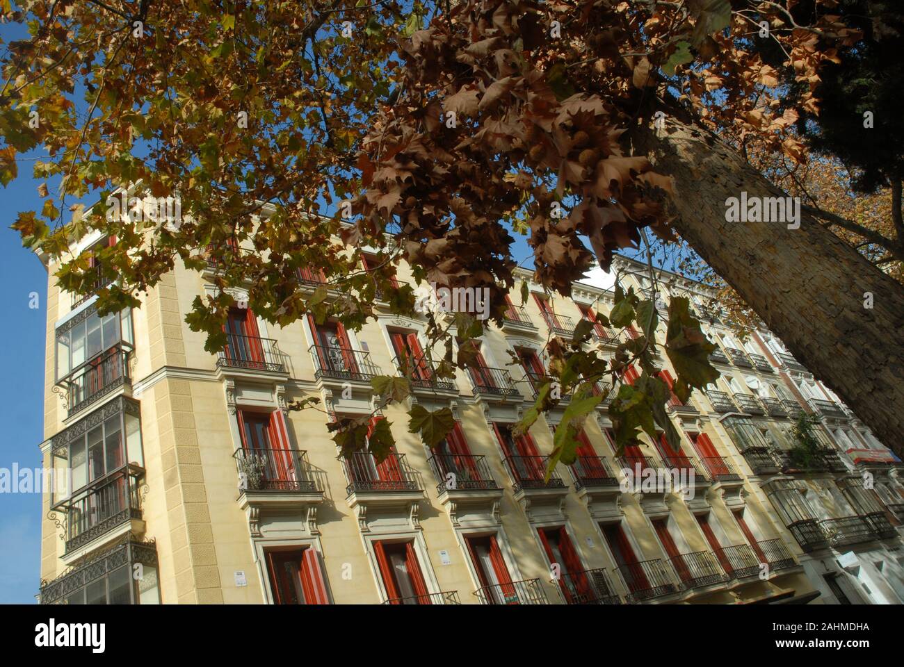 Facades of houses and trees in the winter sun, Madrid, Spain. Stock Photo