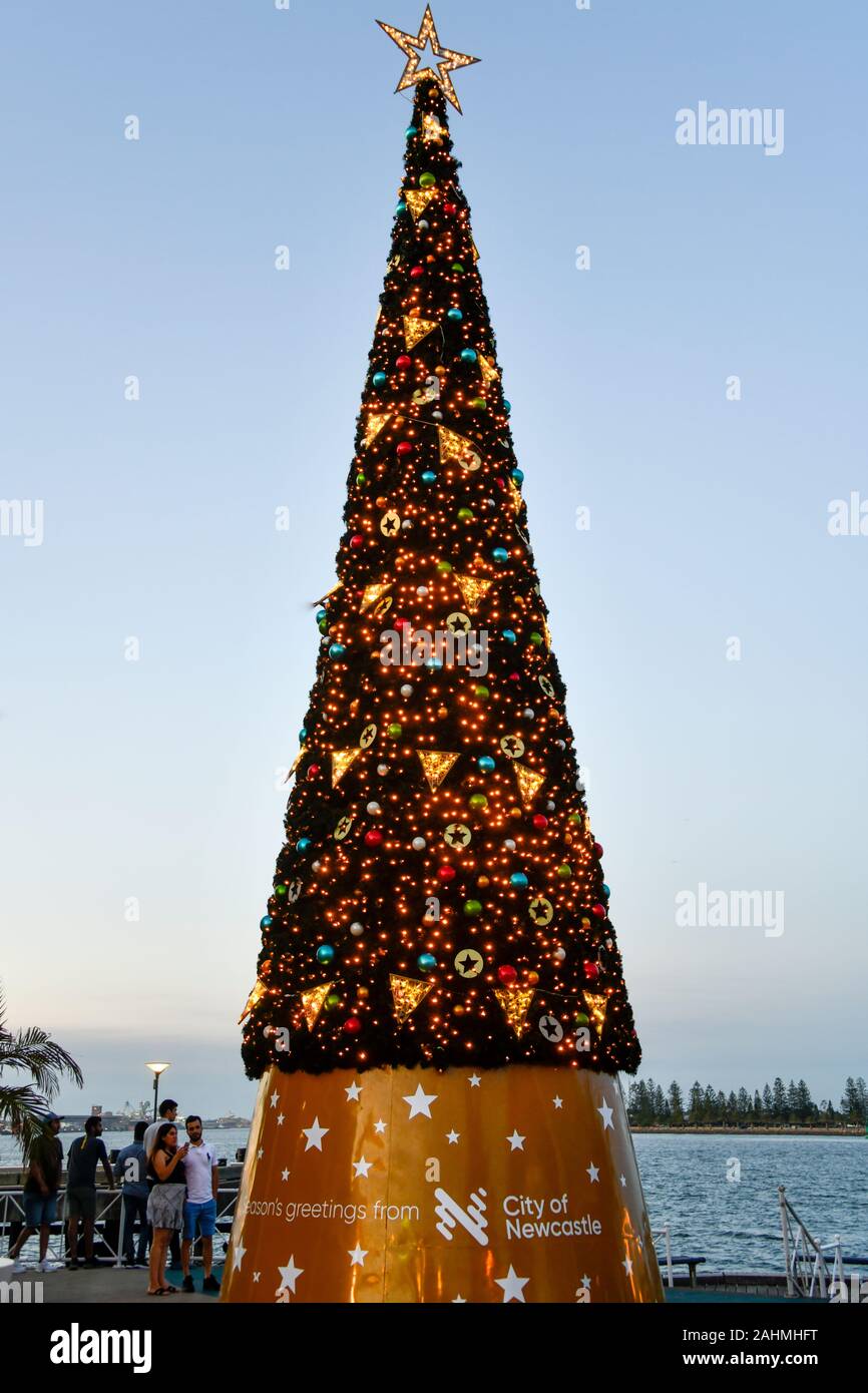 Colourful Christmas Tree with Star on Top, Summers Evening Newcastle Foreshore, Australia Stock Photo