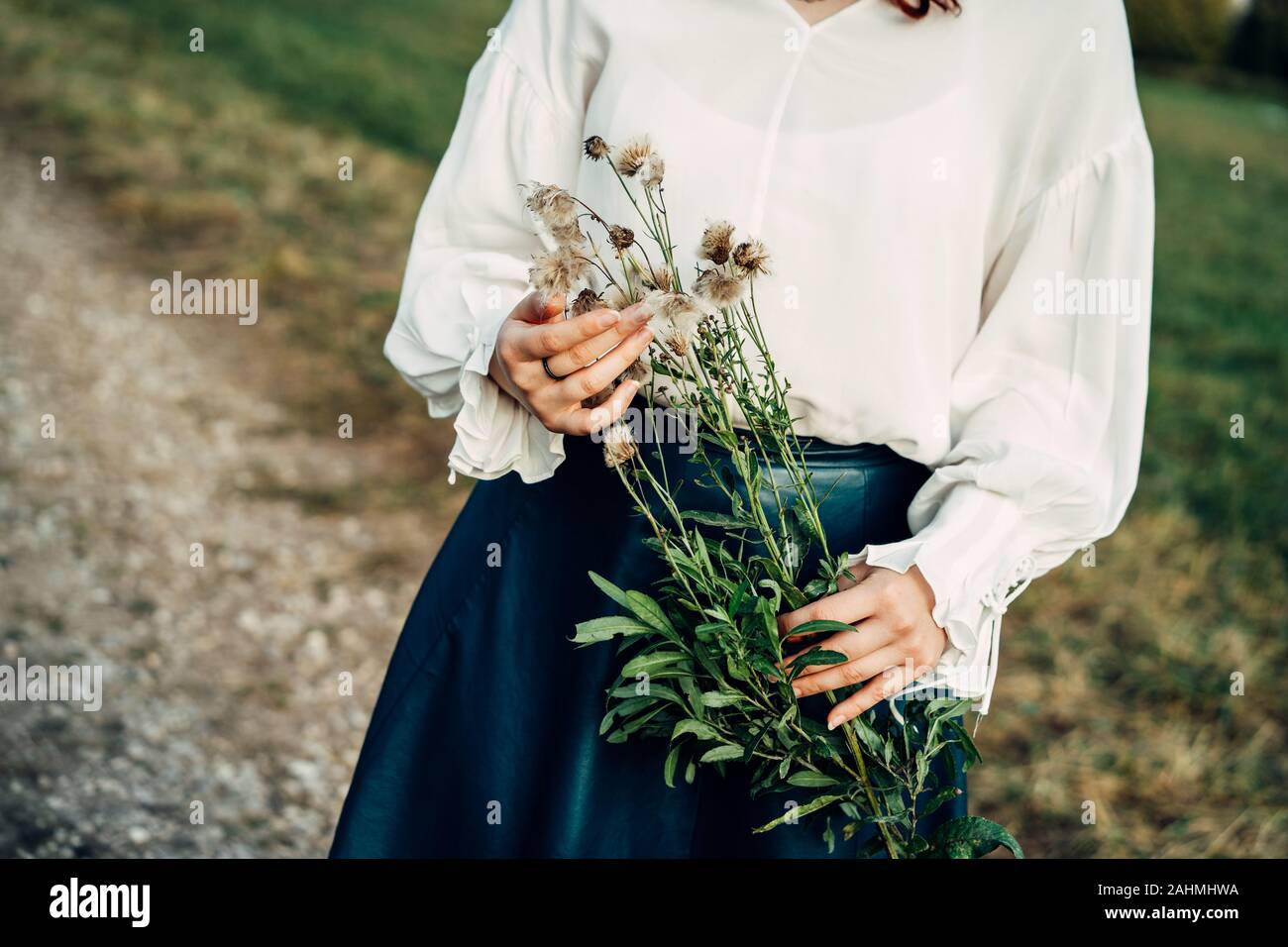 Young woman in a field holding a branch of fluffy autumn dandelions in her hands Stock Photo