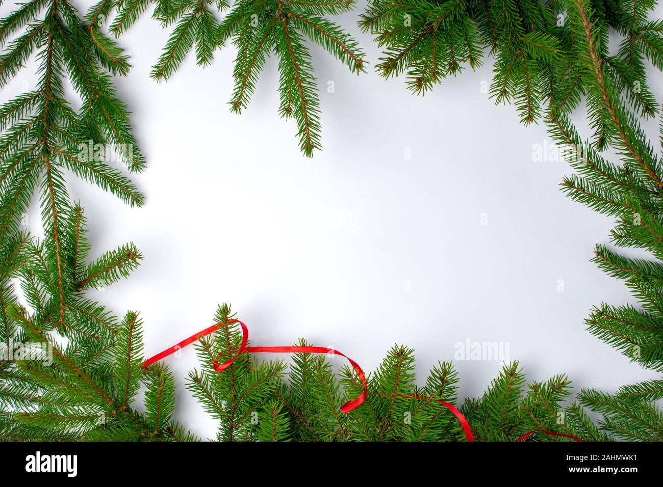 frame of fir branches on a white background. Red Christmas ribbon wraps ...