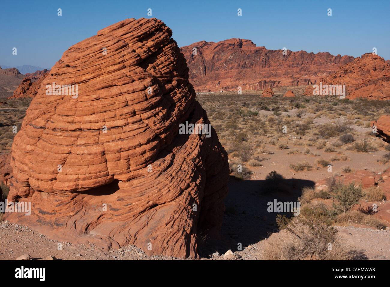 An interesting brain like rock formation in Nevada's Valley of Fire State Park. Stock Photo