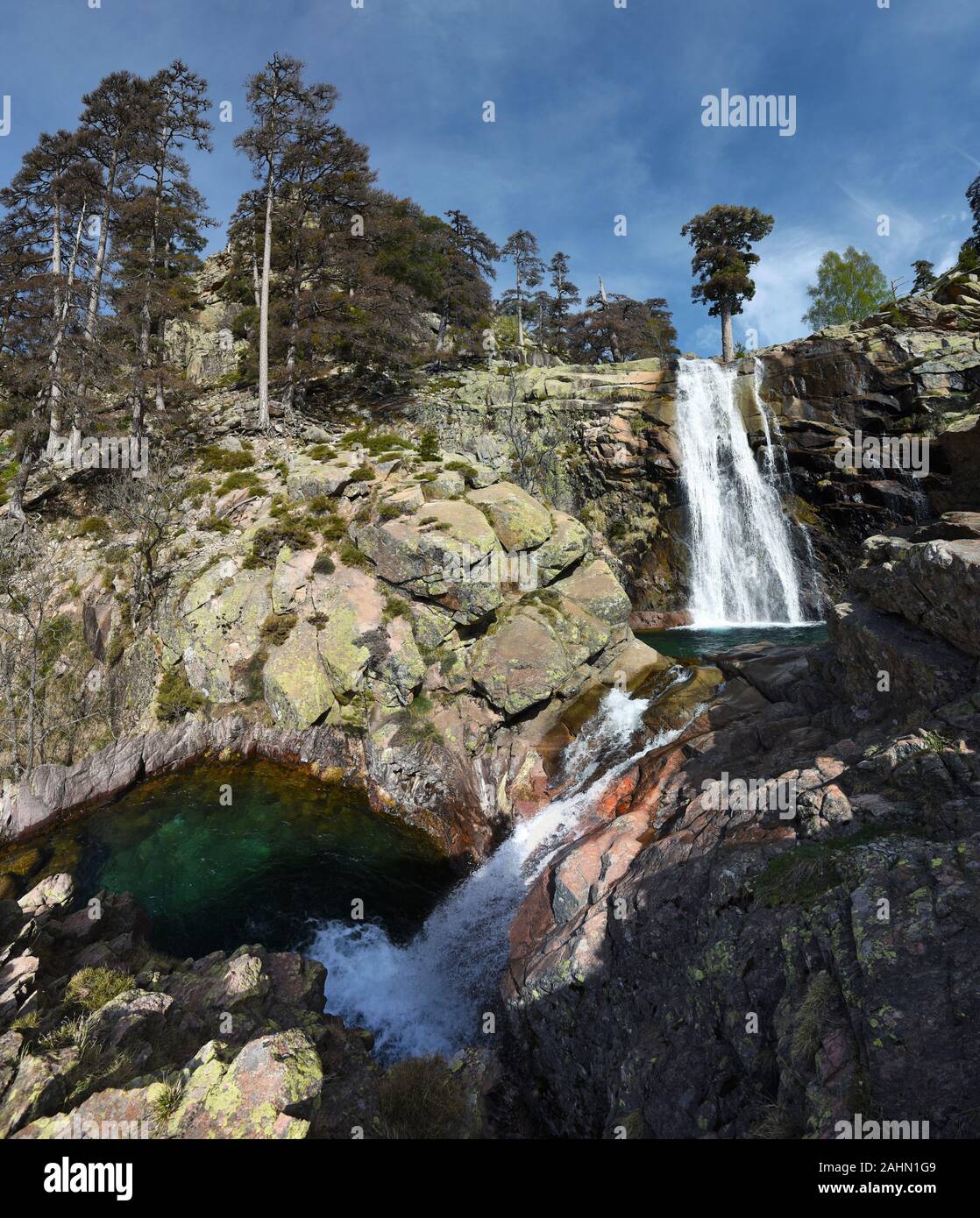 Radule waterfall in High Golo Valley of Corsica Island. Laricio pine trees of Valdo-Nielo forest are in top and two natural pools with crystalline wat Stock Photo