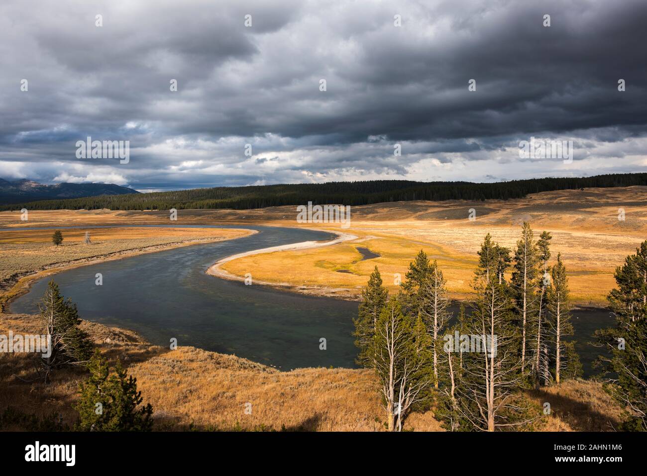 Sweeping curve in river ,golden grass of autumn,Yellowstone Park. Stock Photo