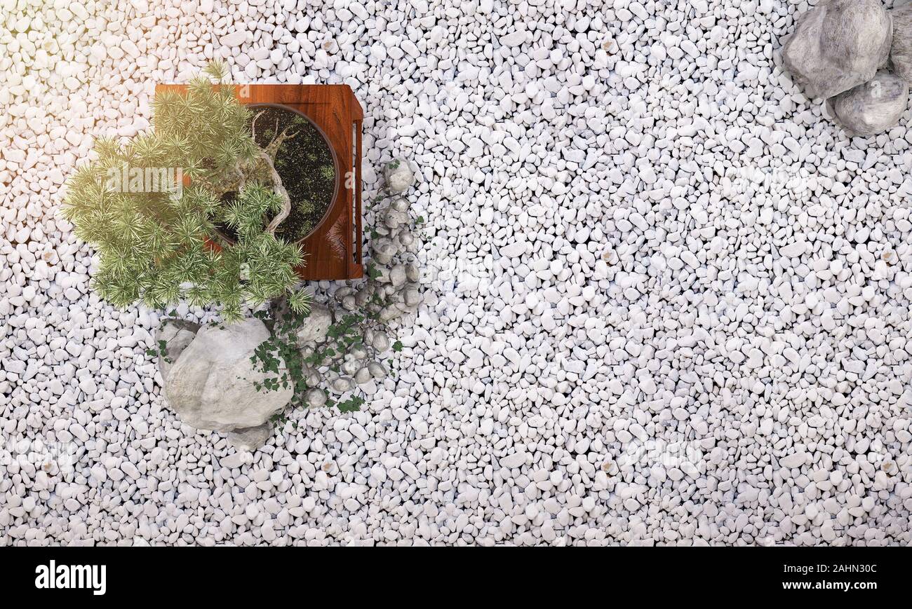 3d rendering bonsai background in japanese zen garden with minimal ...
