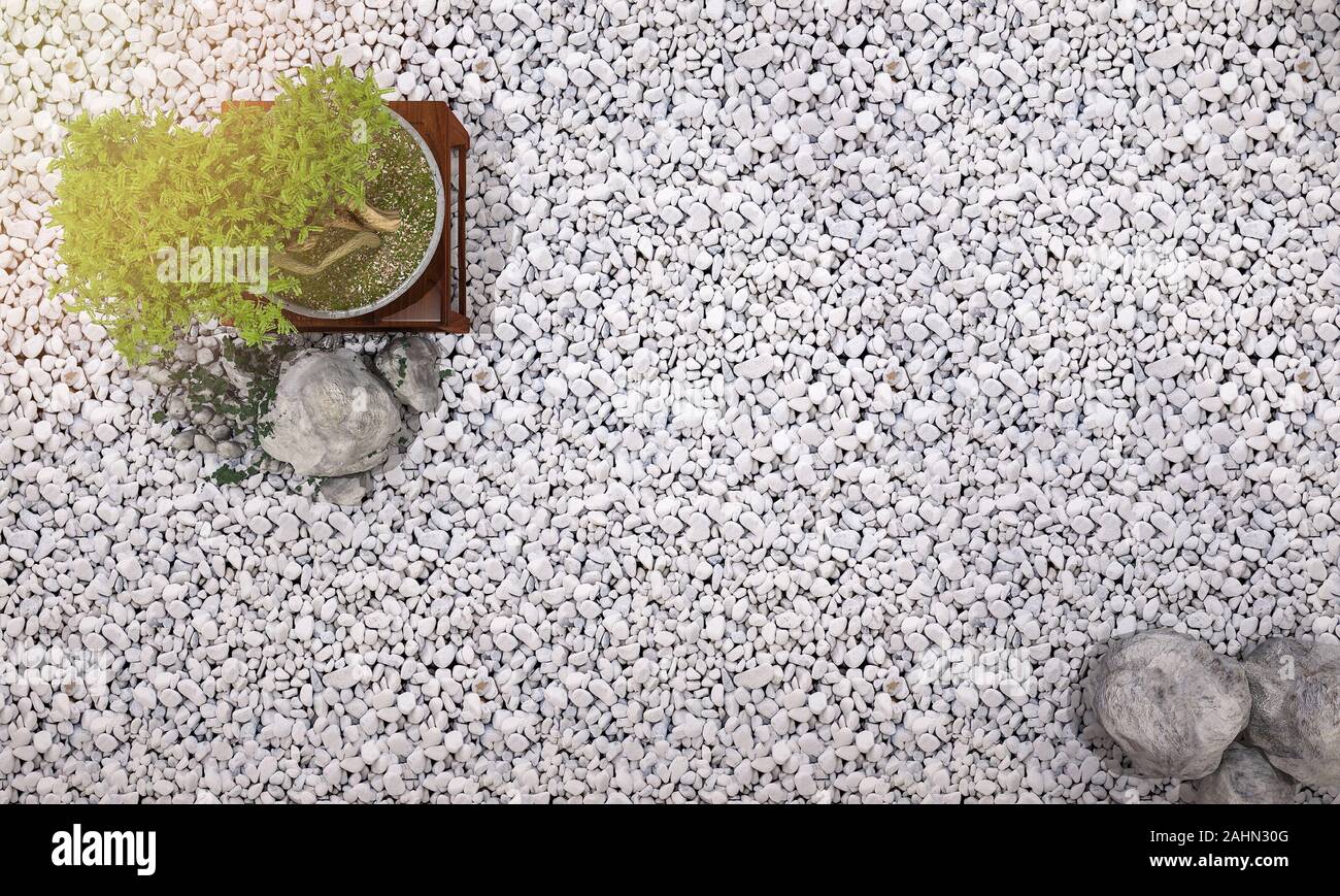 3d rendering bonsai background in japanese zen garden with minimal ...