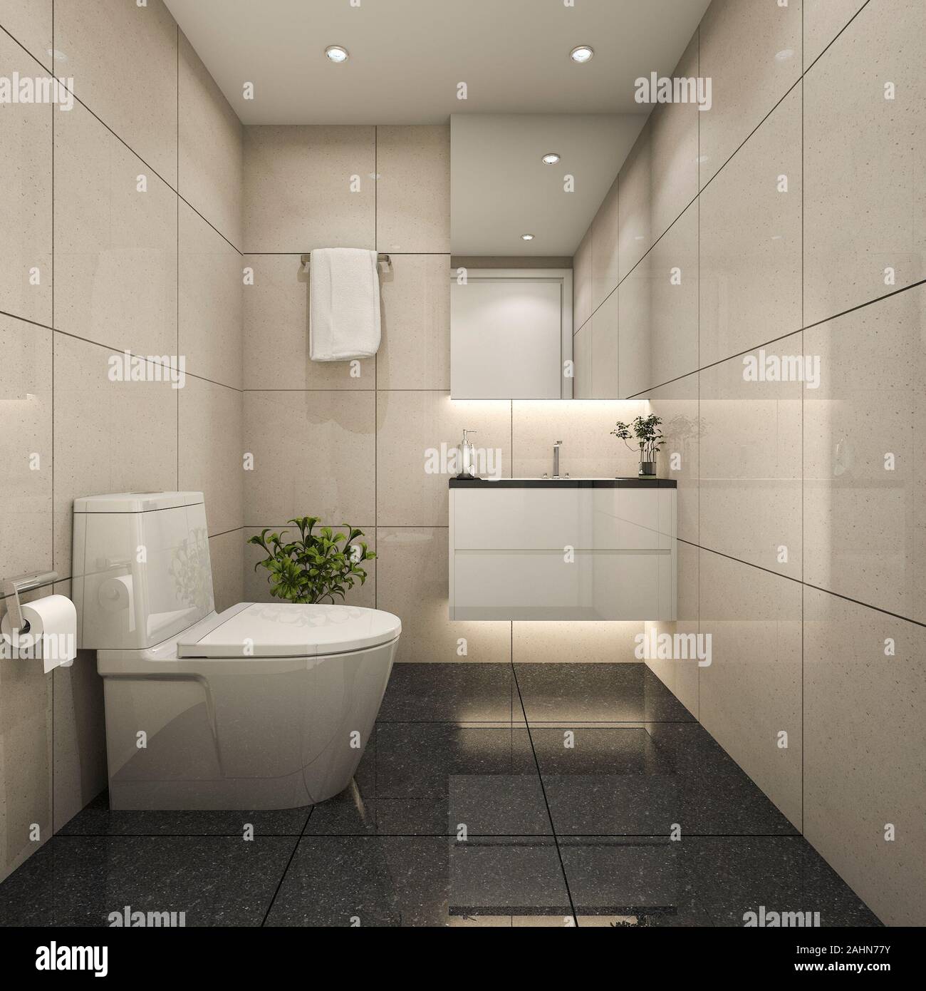 Toilet Rendering 3d rendering modern minimal toilet and powder room Stock Photo - Alamy