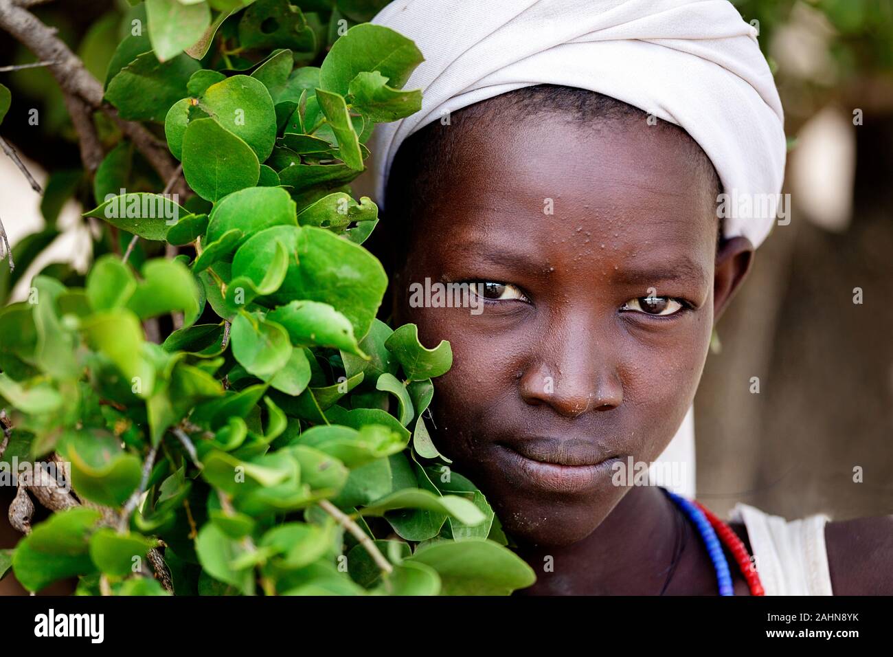 Portrait of boy from the Arbore tribe with a tree branch, Omo valley