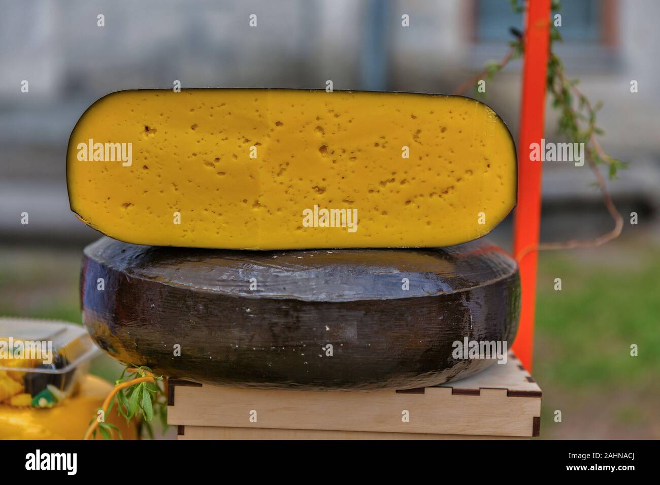 Semi soft cows milk cheese closeup for sale at a market outdoor stock