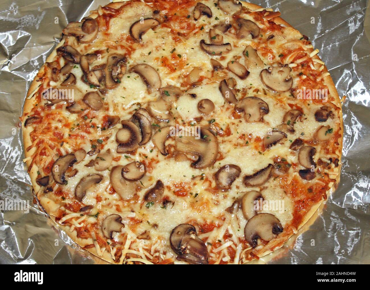 Mushroom and cheese pizza hot out of the oven Stock Photo