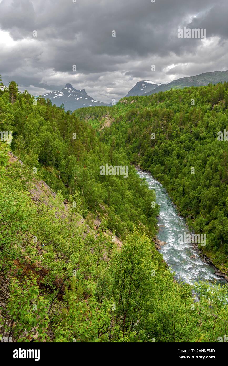 The mainstream of Graddiselva river in Norwegian Nordland as seen in west direction from the Swedish border, Scandinavian mountains are at background. Stock Photo