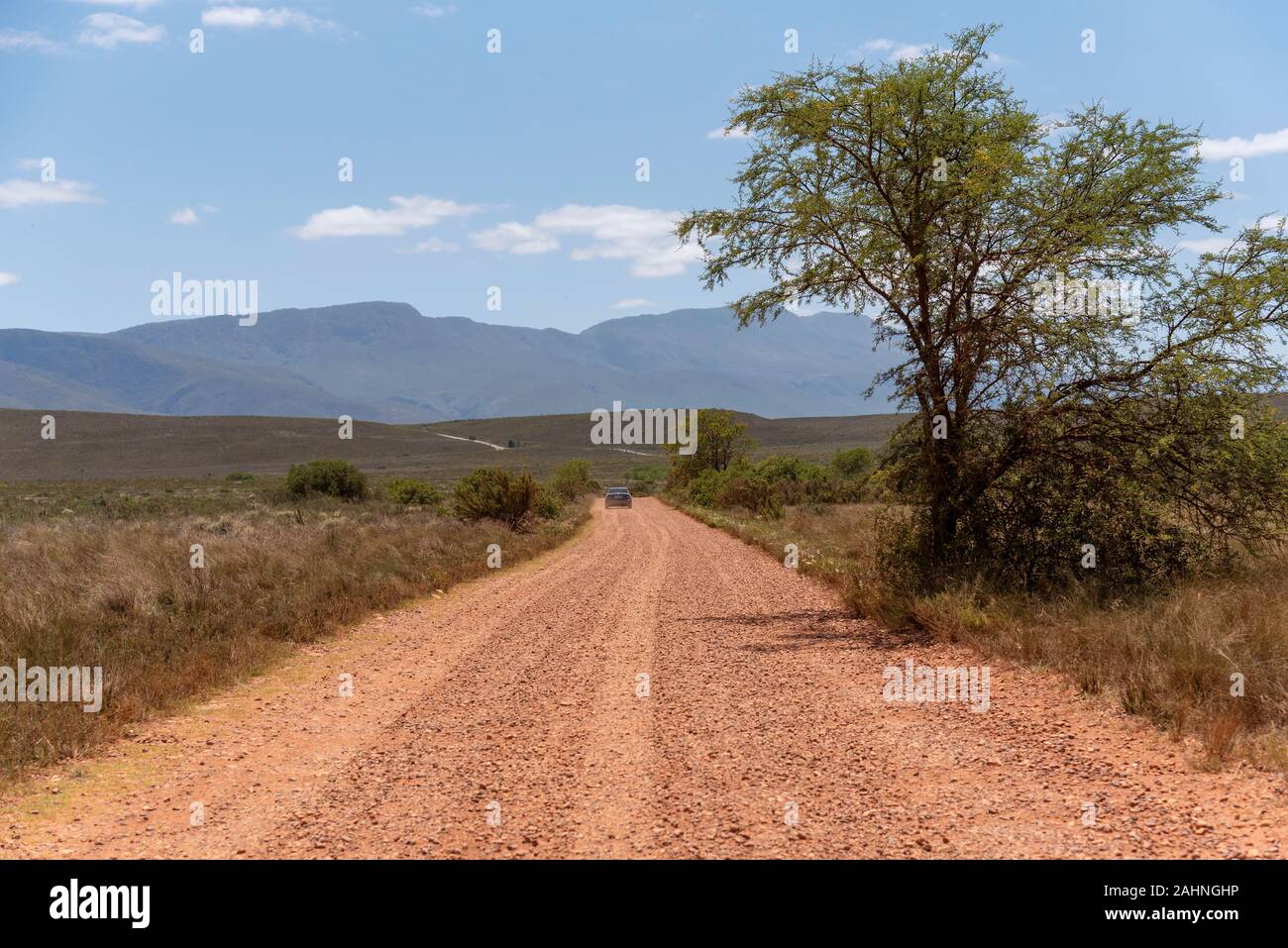 Swellendam, Western Cape, South Africa. December 2019. Dirt road heading for the Langeberg Mountains. Stock Photo