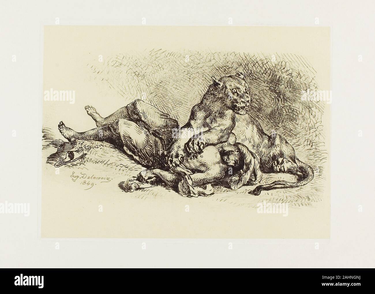 Eugène Delacroix. Lioness Tearing at the Chest of an Arab. 1849. France. Soft ground etching and roulette on cream chine, laid down on white wove paper Delacroix’s Romantic fascination with the Oriental other and the savagery of nature comes to the fore in this delicate etching in which a turbaned Arab becomes a lioness’s prey. Pinioned by the lion’s mighty paws, the man no longer struggles but resigns himself to being rent asunder. The man’s eyes are in shadow while the animal’s are wide and fierce, a contrast underscoring the violence and the intimacy of the kill. Details such as the single Stock Photo