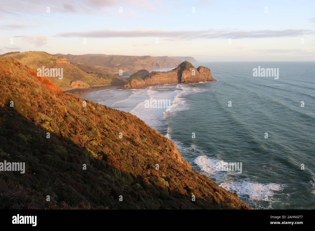 O'Neill Bay and Bethells Beach from the Te Henga Coastal Track in West Auckland, New Zealand. Stock Photo