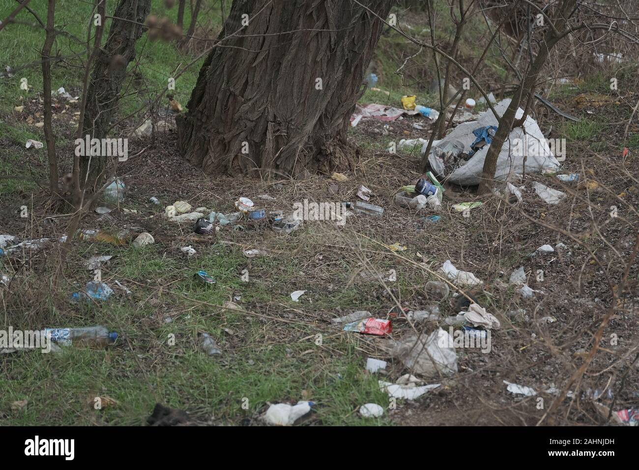 Forest pollution, plastic garbage in the pinewood. Dump plastic debris