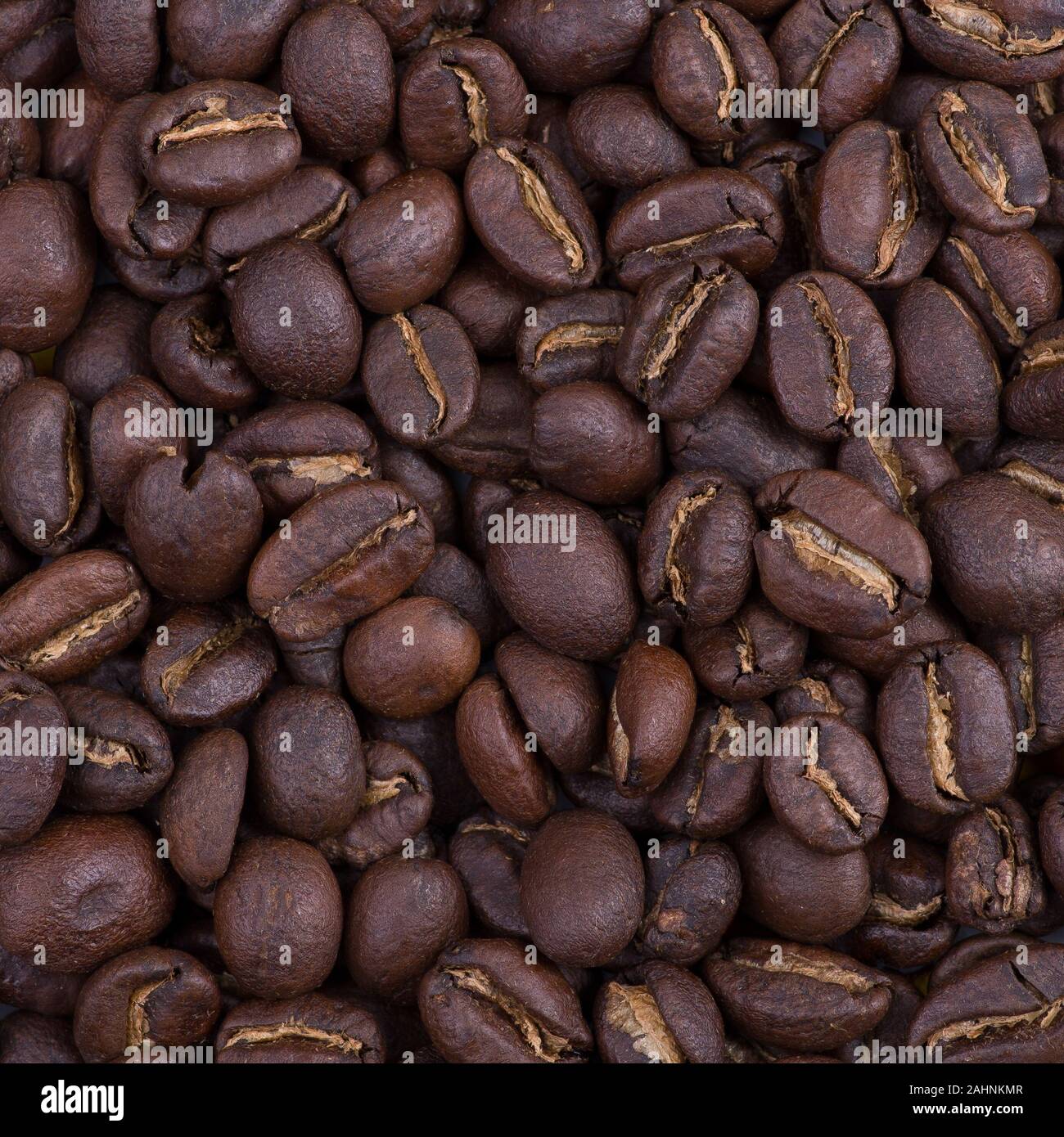 Coffee beans Ethiopia Sidamo Stock Photo Alamy