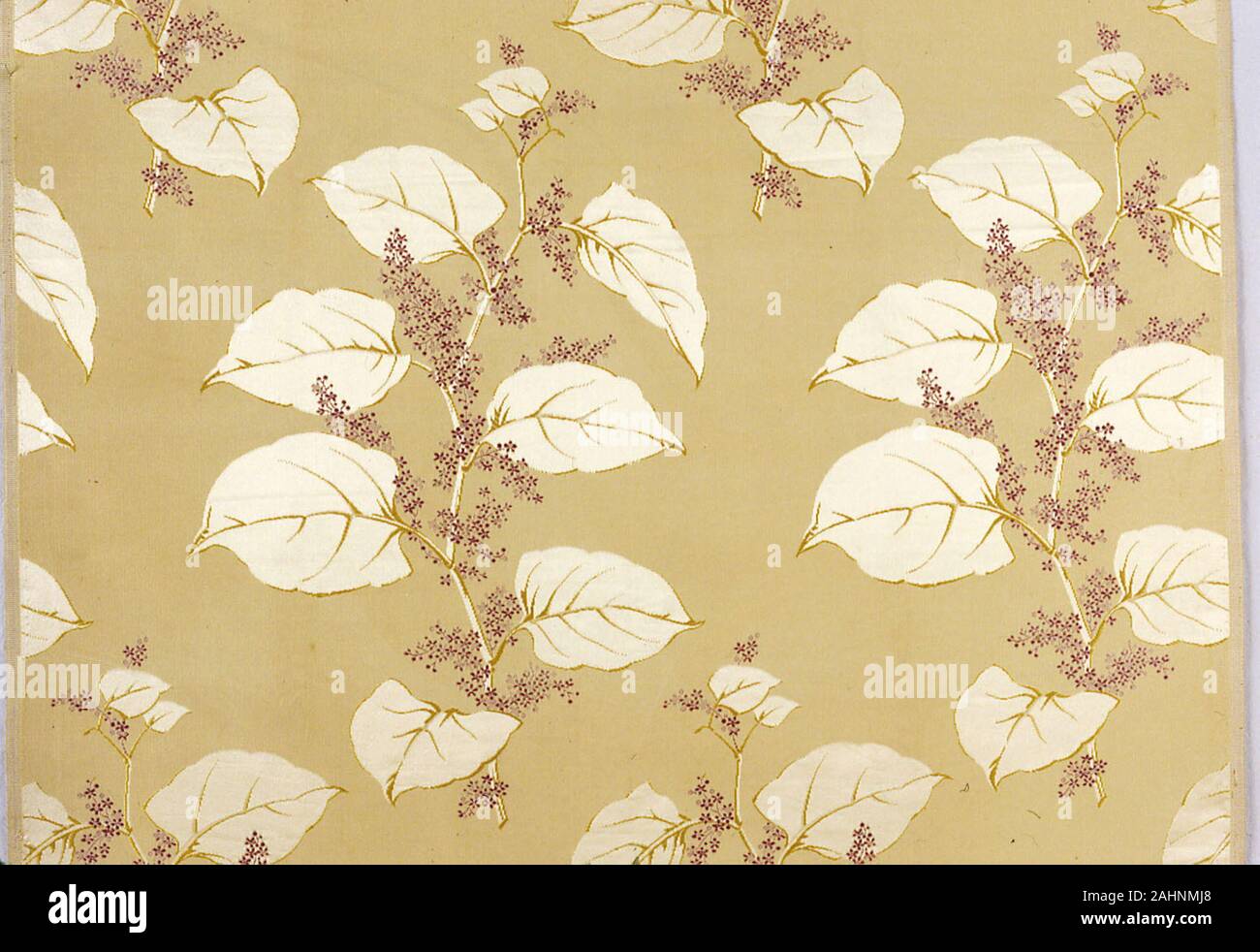 Charles Frederick Worth. Panel (Dress Fabric). 18701890. France. Silk