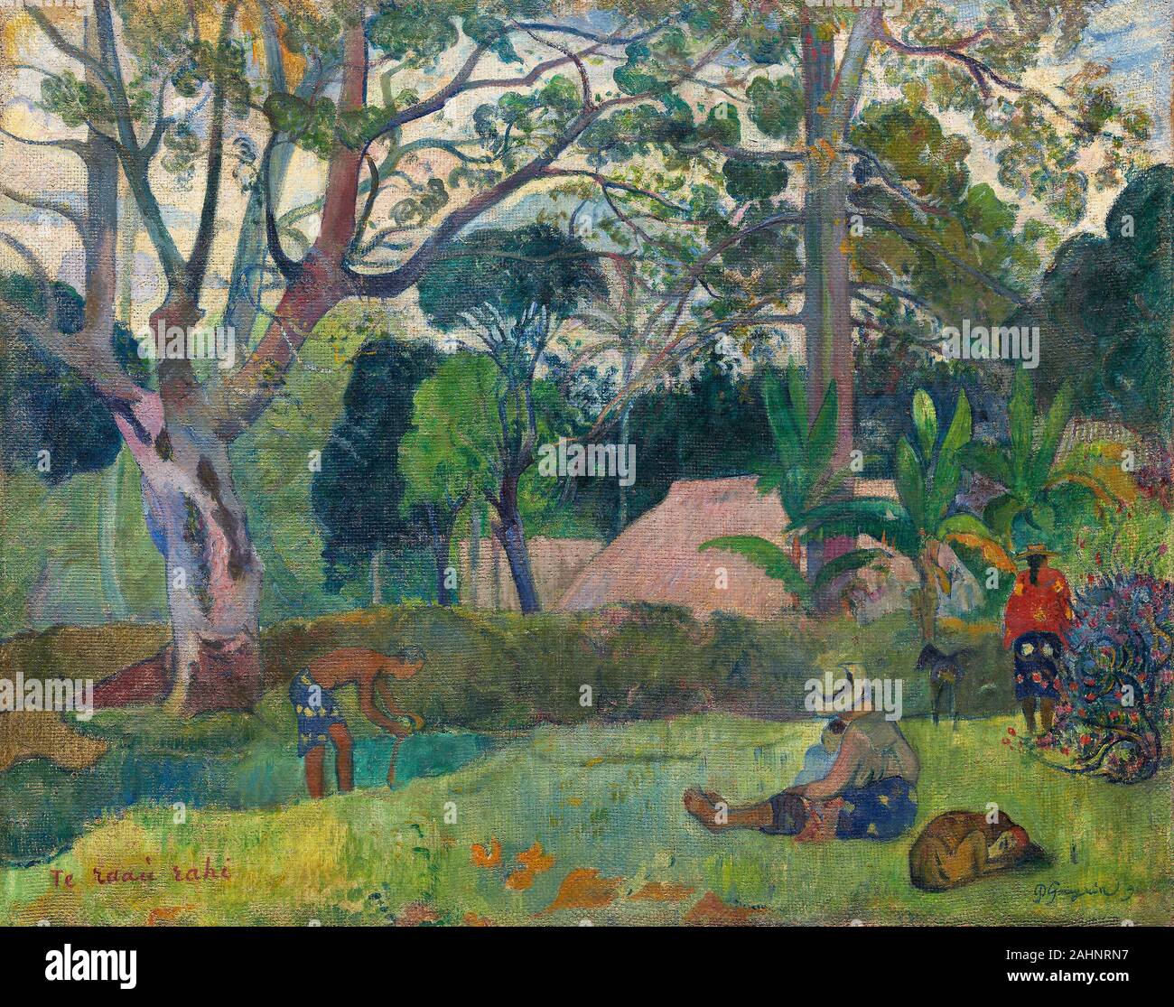 Paul Gauguin. Te raau rahi (The Big Tree). 1891. France. Oil on jute canvas Upon arriving in Tahiti in June 1891, Paul Gauguin was keen to observe and understand the local vegetation. The big tree referred to in the title of this painting is the hotu tree at left. On the right, a tropical almond tree rises behind a screen of banana leaves, and along the right edge is a red-blossomed hibiscus shrub. Breadfruit leaves dot the foreground. The work is infused with dreamlike, heightened colors in a highly decorative composition arranged around curving, exuberant lines that transcend the topographic Stock Photo