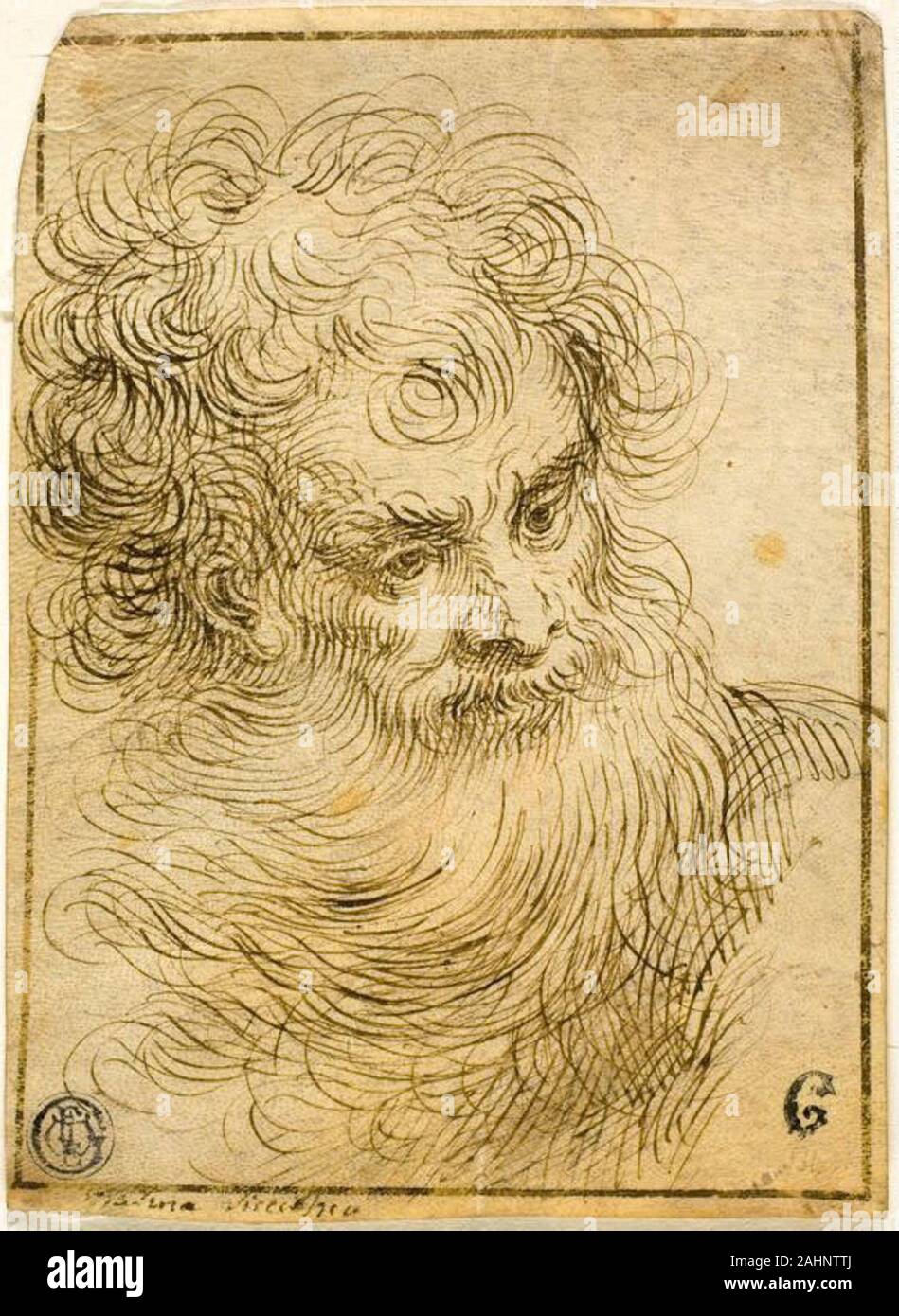 jacopo negretti called palma il giovane head of bearded old man recto decorative sketch of flower and leaves verso 16001799 italy pen and brown ink recto and verso on vellum 2AHNTTJ