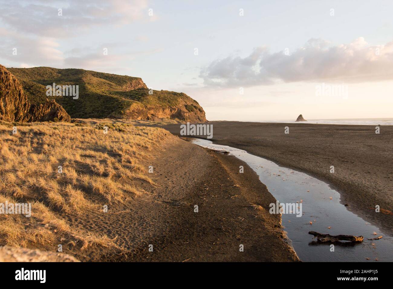 Golden light on the black sand, river, mountains of Karekare Beach in West Auckland, New Zealand. Stock Photo