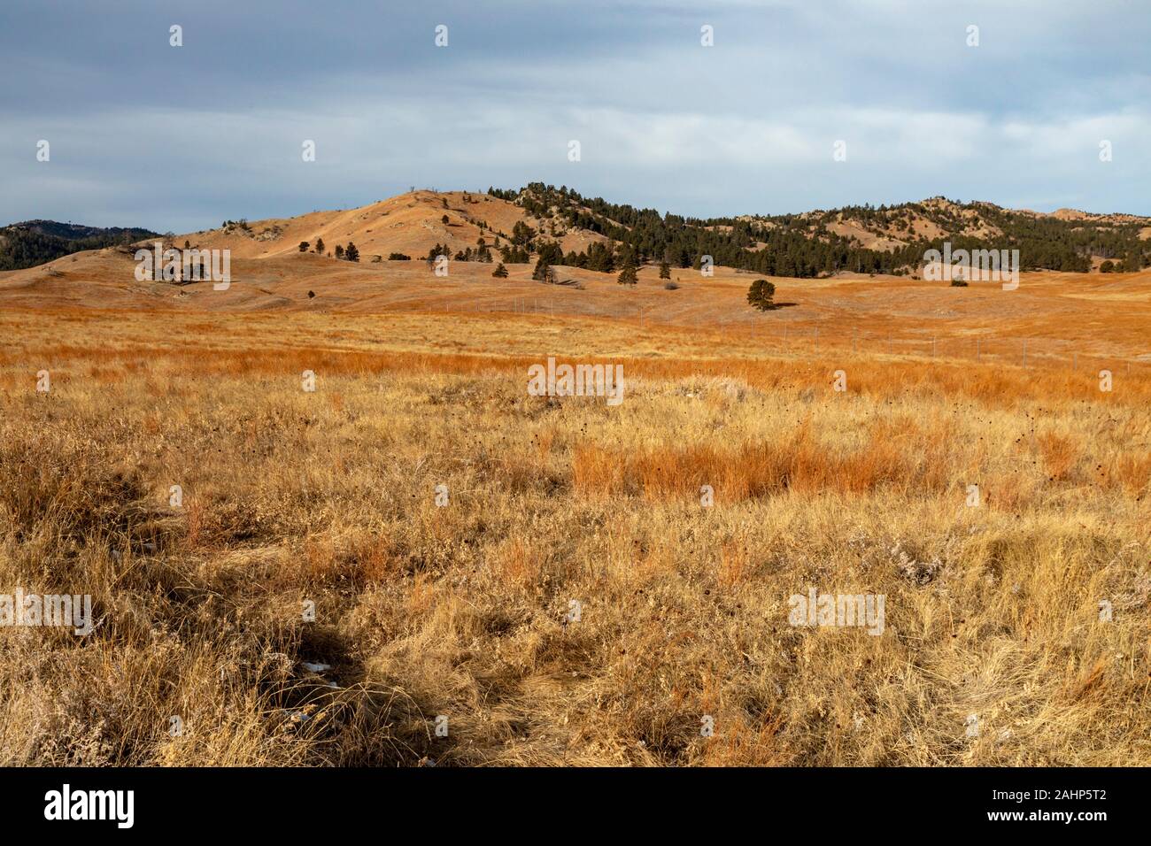 Hot Springs, South Dakota Wind Cave National Park Stock Photo Alamy