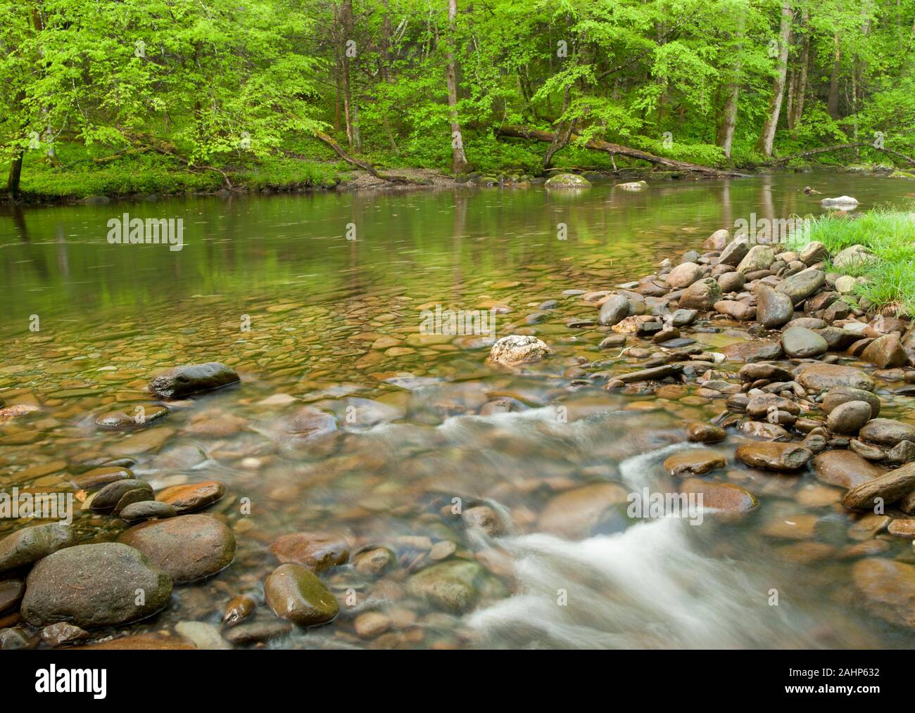 Small rapids run across boulders in the Smokies  National Park. Stock Photo