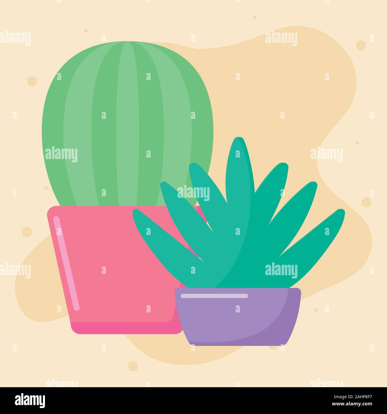 Cactus and plant design, Desert nature art tropical summer succulent ...