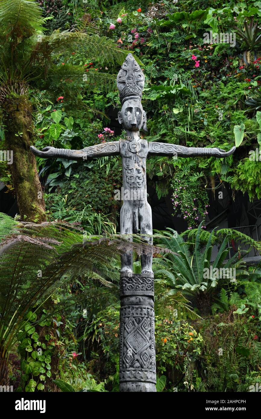 Bifurcated carved weathered wooden totem inside the 'Cloud Forest' dome modern botanic garden at Gardens by the Bay in Singapore, Asia Stock Photo