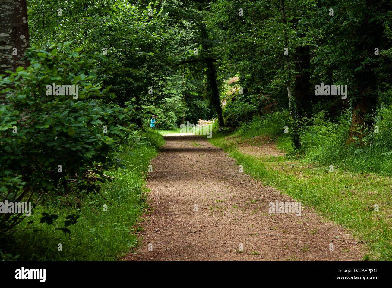 France, Brittany, Comanna,  Les Moulins de Kerouat,  1619 monastic village of hide tanning, milling, stone mills, grains, Stock Photo