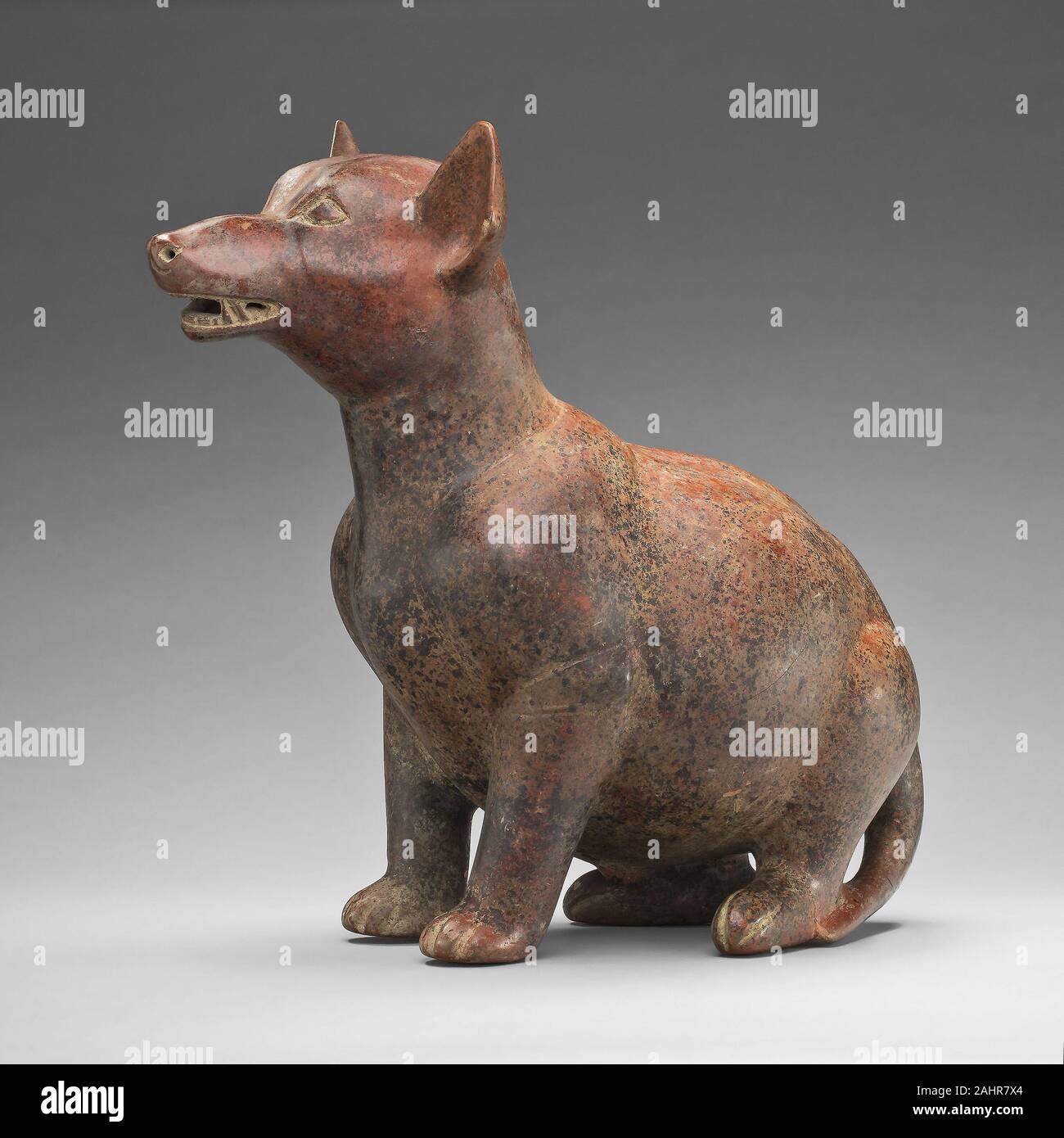 Colima dog hi-res stock photography and images - Alamy