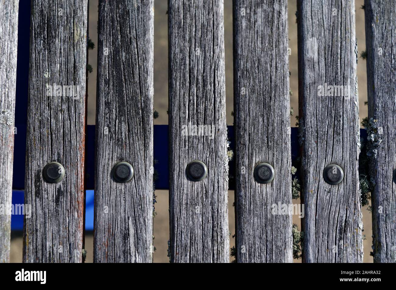 A row of nails hold wooden planks in place Stock Photo