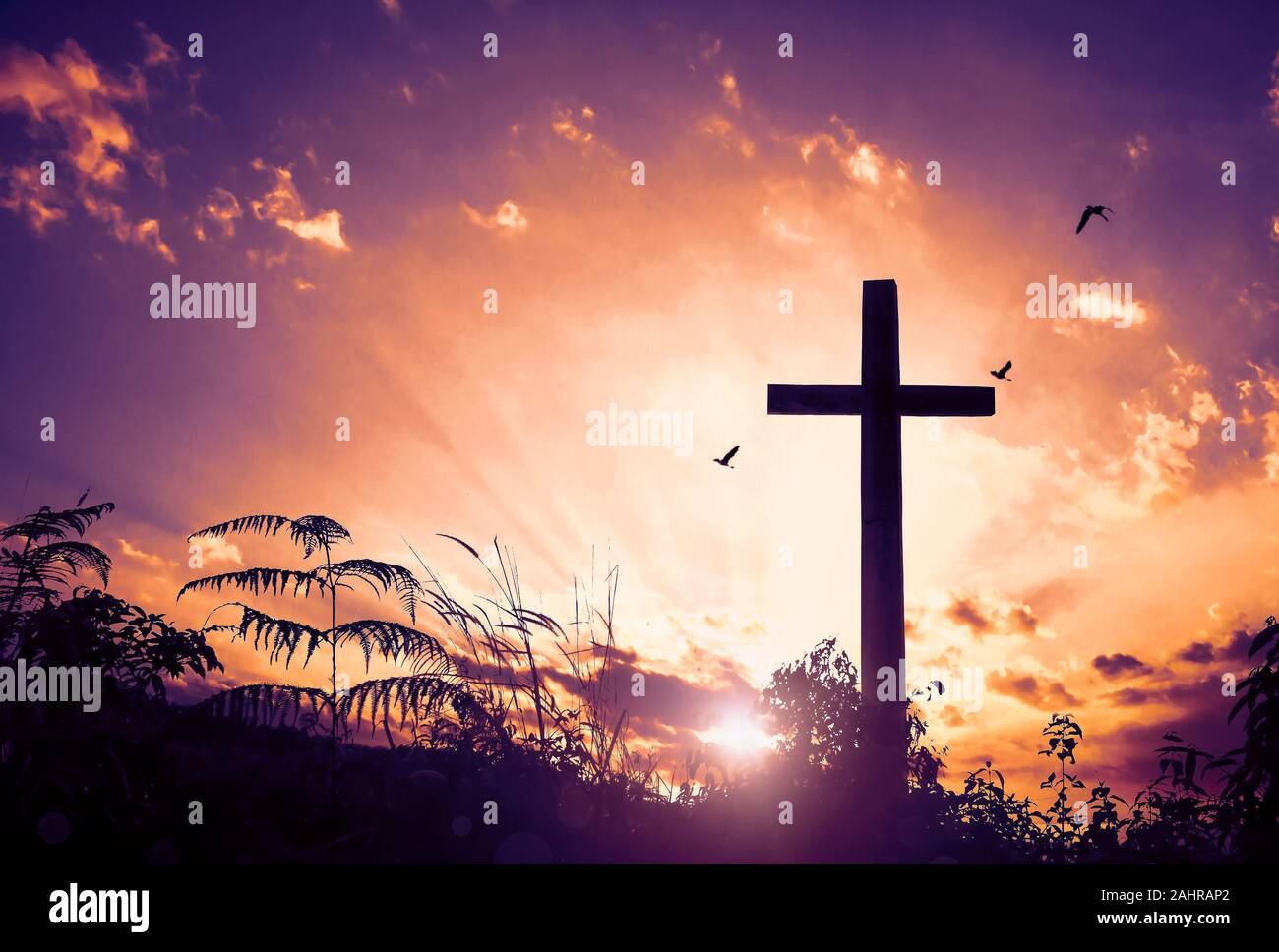 the-cross-symbol-of-christian-and-jesus-christ-stock-photo-alamy