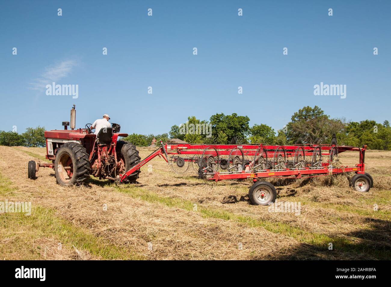 Man on International Harvester Farmall tractor, raking hay in a field ...