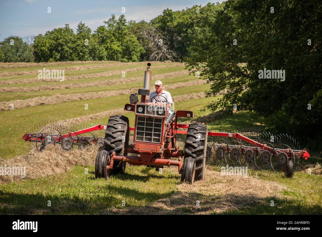 Man on International Harvester Farmall tractor, raking hay in a field ...