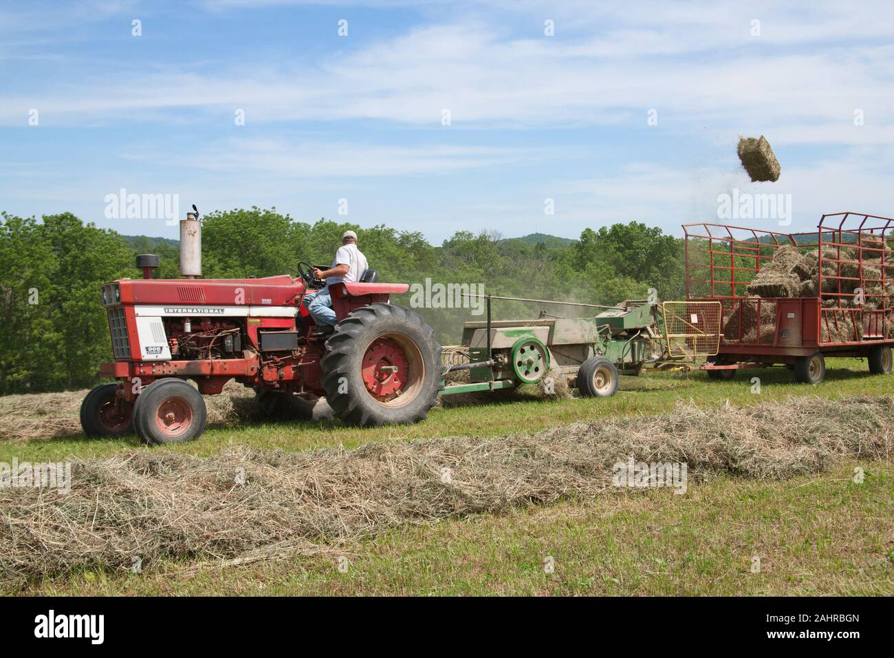 Man on International Harvester Farmall tractor, baling hay in a field