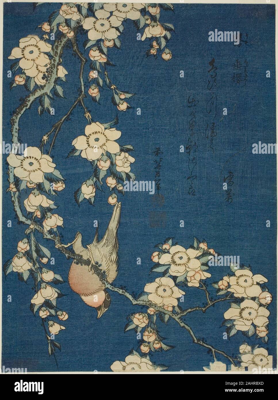 【オープニング大セール】 Katsushika Hokusai. (Uso Cherry Weeping and Bullfinch 絵画
