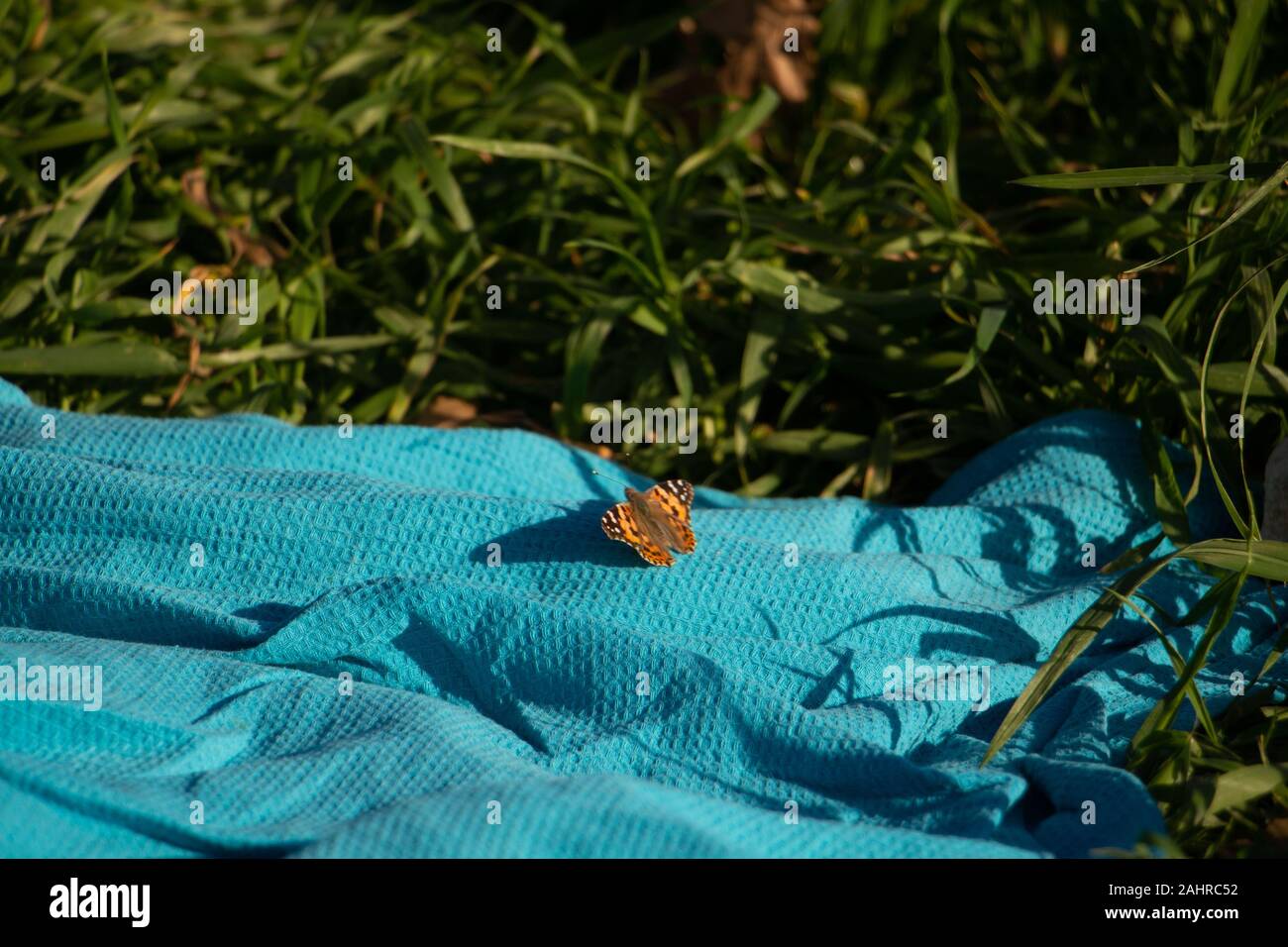 The Beauty Of Nature Stock Photo Alamy