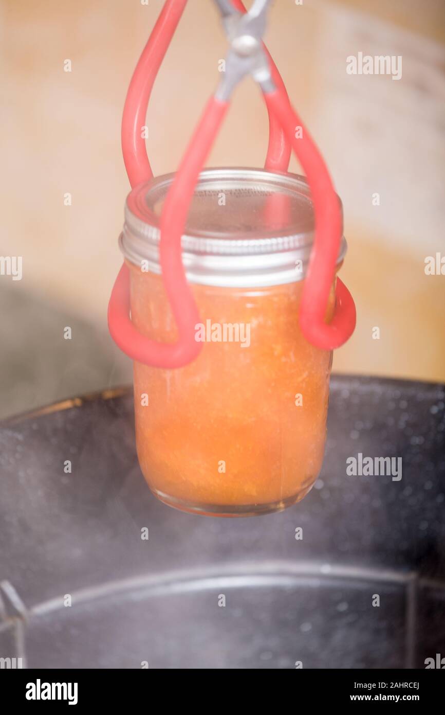 Lifting a jar of apricot jam below the rim using canning tongs, out of