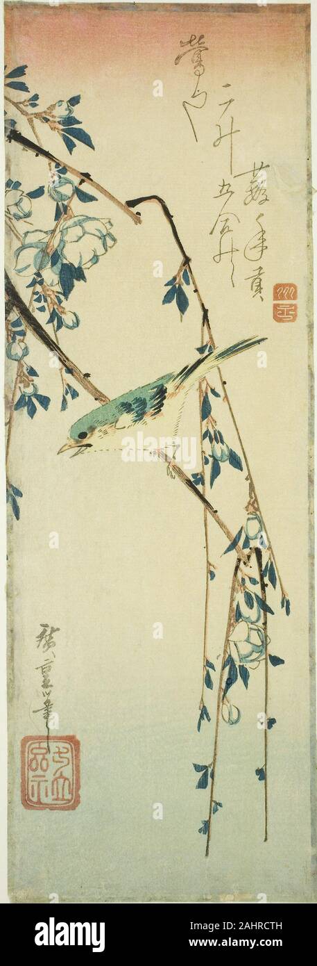 Tied Falcon eyeing a Sparrow Reproduction Woodblock Print by Hiroshige