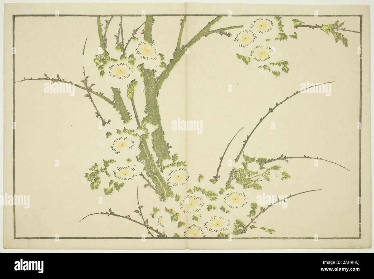Katsushika Hokusai. Flowers, from The Picture Book of Realistic ...
